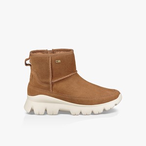 Ugg Palomar Alla Väderstövlar Dam Bruna (789160UTF)